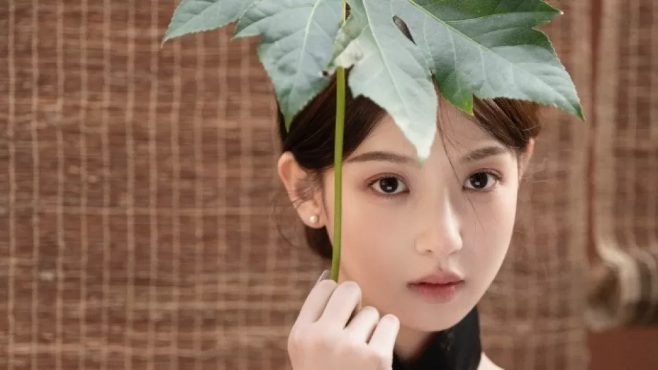 国内网友自拍在线 51视频与17每日挑战:原创《一片叶子的迷你星空》播放预览封面